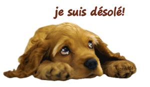 Gif animé je suis désolé chien